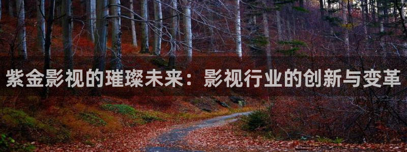 秋霞理論電影免費觀看